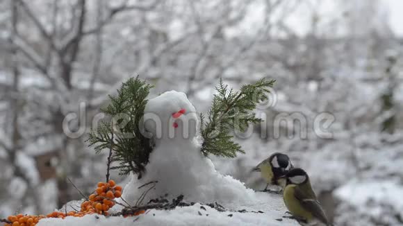 山雀和麻雀在雪人附近啄食种子视频的预览图