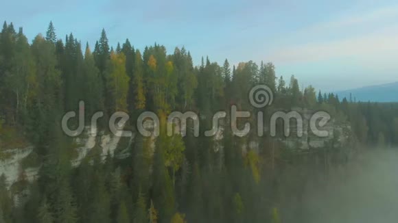 在河谷的晨雾中飞行视频的预览图