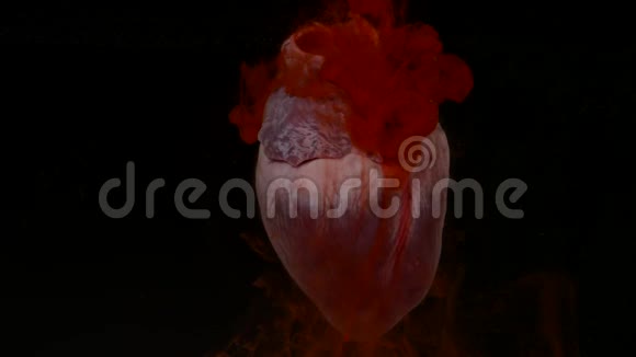 有红色墨水的心在水族馆的黑色背景视频的预览图
