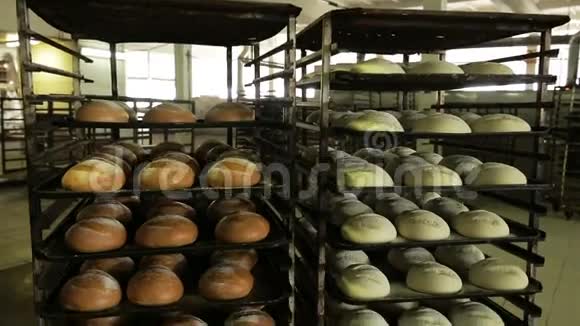 面包烘焙烘焙面包的生产视频的预览图