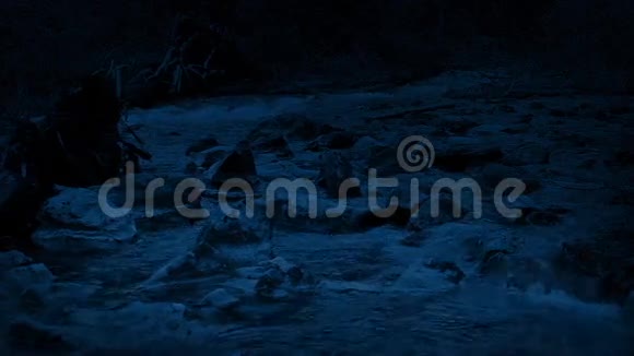 夜晚横渡荒野河岸视频的预览图