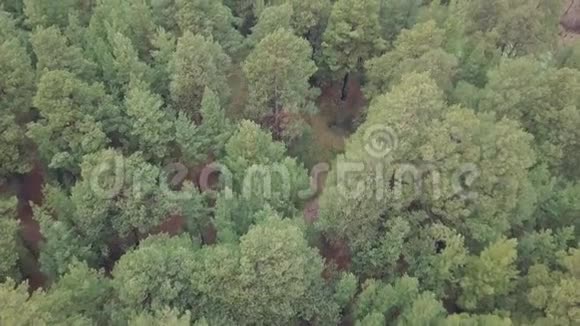 空中无人驾驶飞机飞过秋天的森林和他身后工厂的烟囱污染了环境视频的预览图