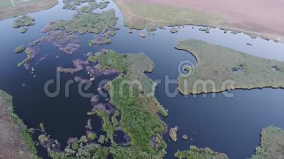 空中无人驾驶飞机俯瞰湖泊和植被三角洲视频的预览图