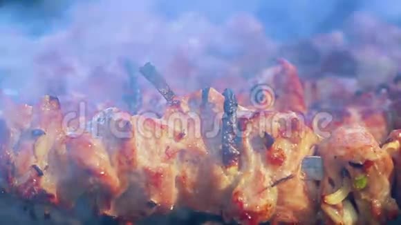 户外柴煤上烤肉特写镜头烧烤串上的烟视频的预览图