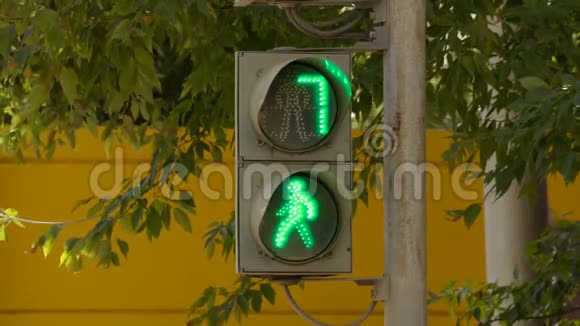 在绿树成荫的夏日街道上行人的红绿灯视频的预览图