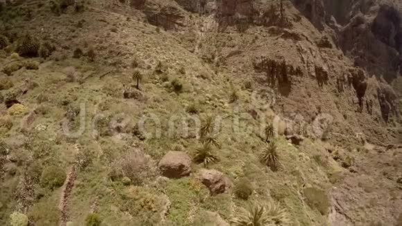 风景如画的山景西班牙特内里费峡谷面具视频的预览图