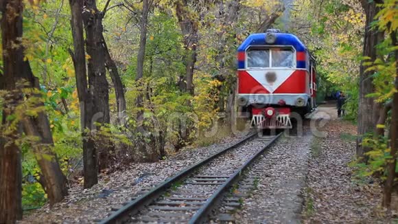 在美丽的秋天森林中开出火车视频的预览图