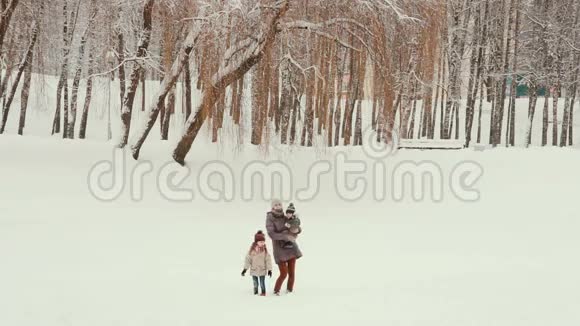 年轻的母亲和她的孩子站在雪地公园里视频的预览图
