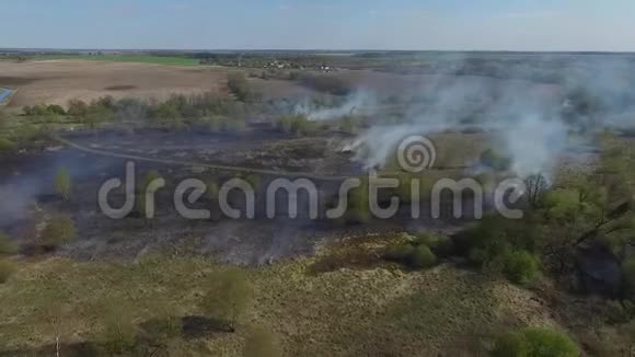 烧焦的干草草地上着火了视频的预览图