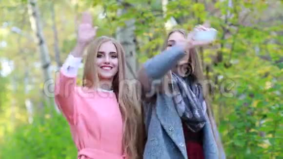 两个留着浓密长发的年轻白姑娘在秋天的大自然中翩翩起舞视频的预览图