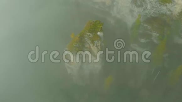 在河谷的晨雾中飞行视频的预览图