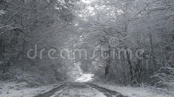 冬天在雪下和树木之间的乡村道路视频的预览图