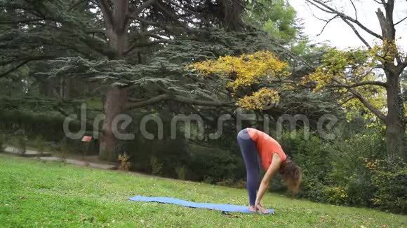 秋天在公园做瑜伽的女孩视频的预览图