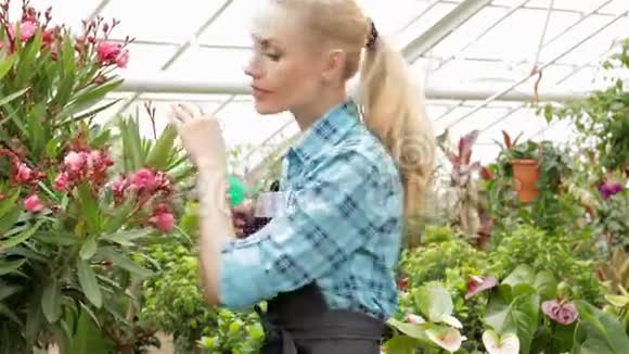 女花匠给花园中心的植物喷水视频的预览图