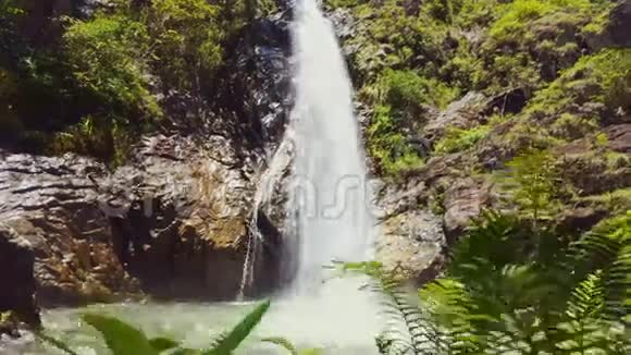 在热带公园岩石之间的窄瀑布落在池塘里视频的预览图
