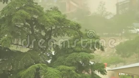 喀布尔发生的沙尘暴视频的预览图