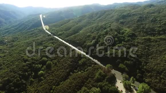 美丽的森林和高速公路与汽车视频的预览图