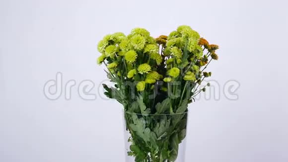 花花束白色背景上的旋转花组成由绿色和橙色的桑蒂尼组成视频的预览图