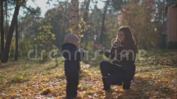 妈妈在秋天的公园里出现在她儿子面前视频的预览图