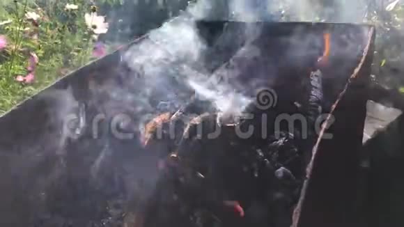 柴火在俄罗斯的烤架里燃烧视频的预览图