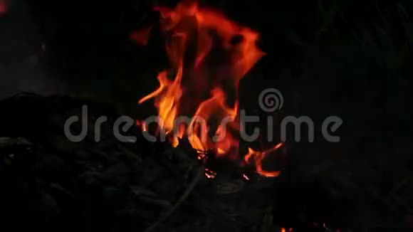 火焰5号视频的预览图