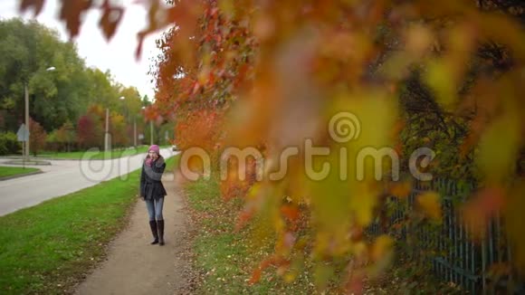 秋日散步时一位年轻的美女在黄红叶背景下用手机聊天视频的预览图