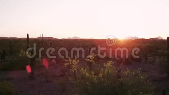 日落时的沙漠徒步旅行者与镜头视频的预览图