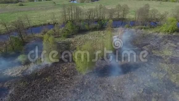 烧焦的干草草地上着火了视频的预览图