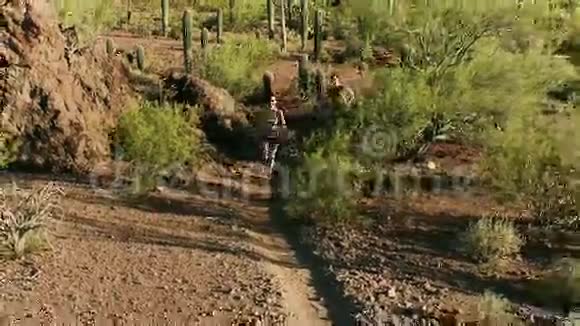 亚利桑那州索诺兰沙漠的跑径者的空中射击视频的预览图