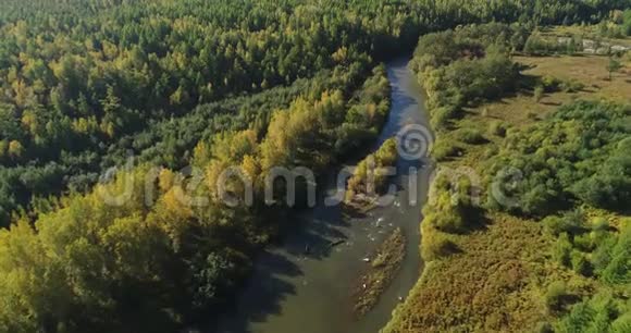 有森林的小河视频的预览图