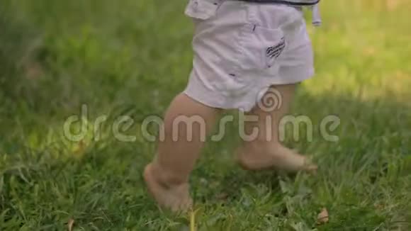 宝贝在草地上的第一步视频的预览图