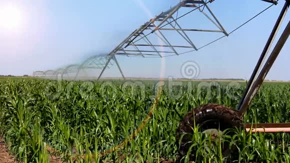 自动灌溉系统视频的预览图