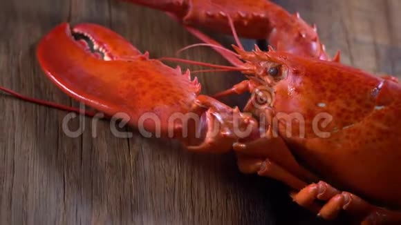 蒸龙虾海鲜视频的预览图
