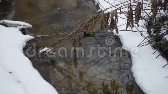 农村的河流在冬天流动视频的预览图