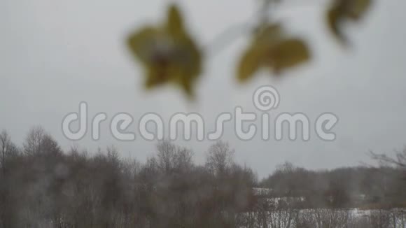 从乡间小屋窗户看到冬天的风景和下雪视频的预览图