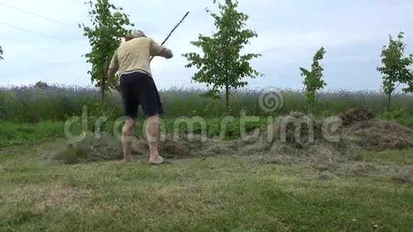 园丁穿短裤和帽子的人在夏天耙干草干草4K视频的预览图