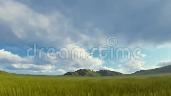 风中绿草如茵山脉迎着暴风雨的云视频的预览图