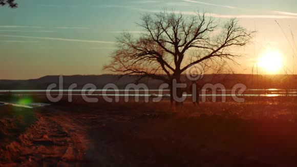夕阳下路上两个人站在一棵树上剪影运动的年轻人在大自然中奔跑视频的预览图