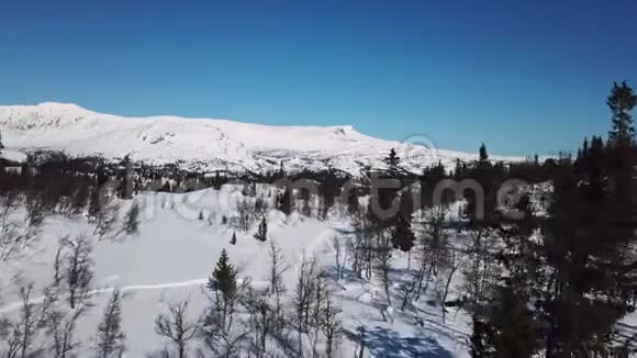 在树木和大山上缓缓飞翔的冬季景观视频的预览图