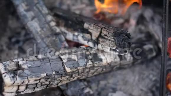 露天烧烤多汁的肉在烤架上慢动作60fps烧木头和生肉在煤上煮熟热辣视频的预览图