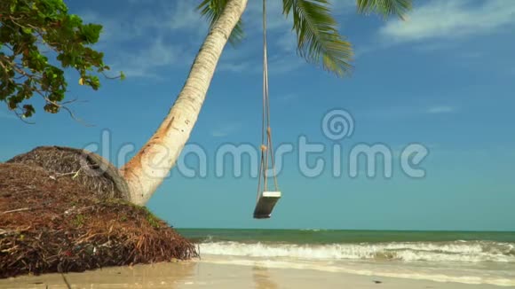 在蓝海的背景下在一棵棕榈树上摇摇晃晃越南岛上阳光明媚的一天绿色视频的预览图