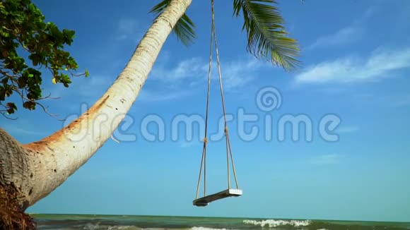 在热带岛屿的岸边一个秋千挂在一棵棕榈树上背景上棕榈树上的大摇摇视频的预览图
