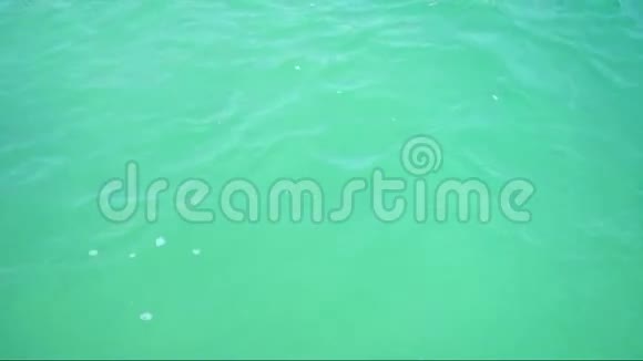 无缝环路平静水面背景高清视频视频的预览图