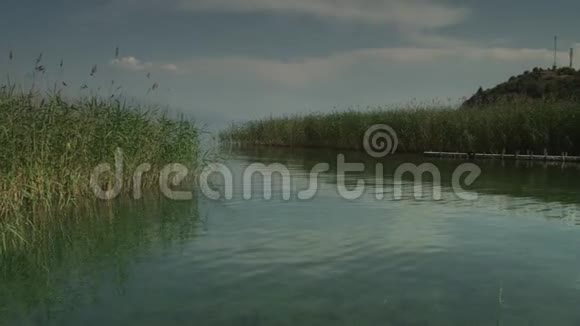 在奥赫里德湖的普通芦苇上安装摄像机视频的预览图