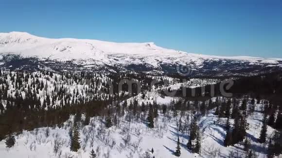 慢慢地飞过树木和大山冬季景观视频的预览图