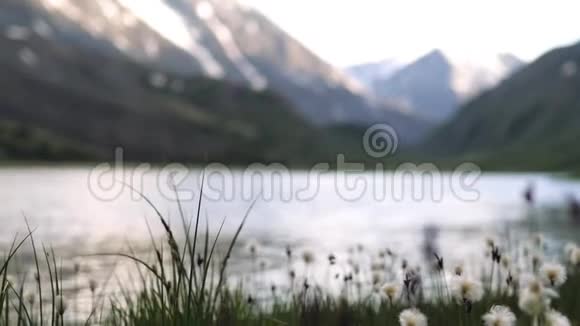 背景中的湖里长出了草天空反映自然视频的预览图