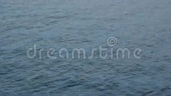 模糊的水波表面反射阳光背景从移动的船上看视频的预览图