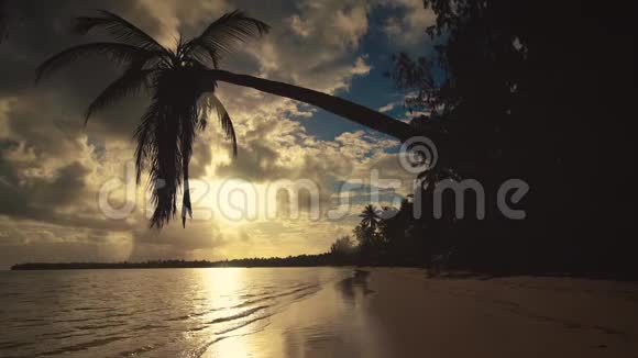 蓬塔卡纳棕榈树沙滩日出的黑色剪影视频的预览图