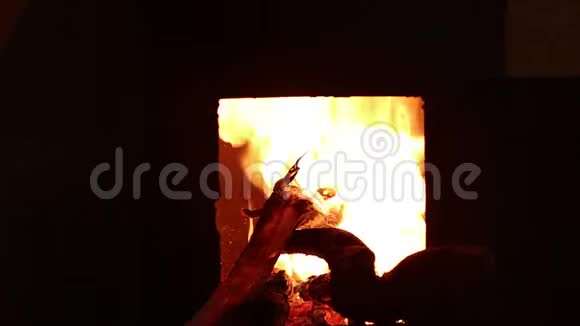 篝火在黑暗的背景下燃烧宿营火视频的预览图