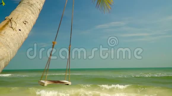 在蓝色海洋的背景下大摇大摆地摇在一棵棕榈树上越南岛上阳光明媚的一天视频的预览图